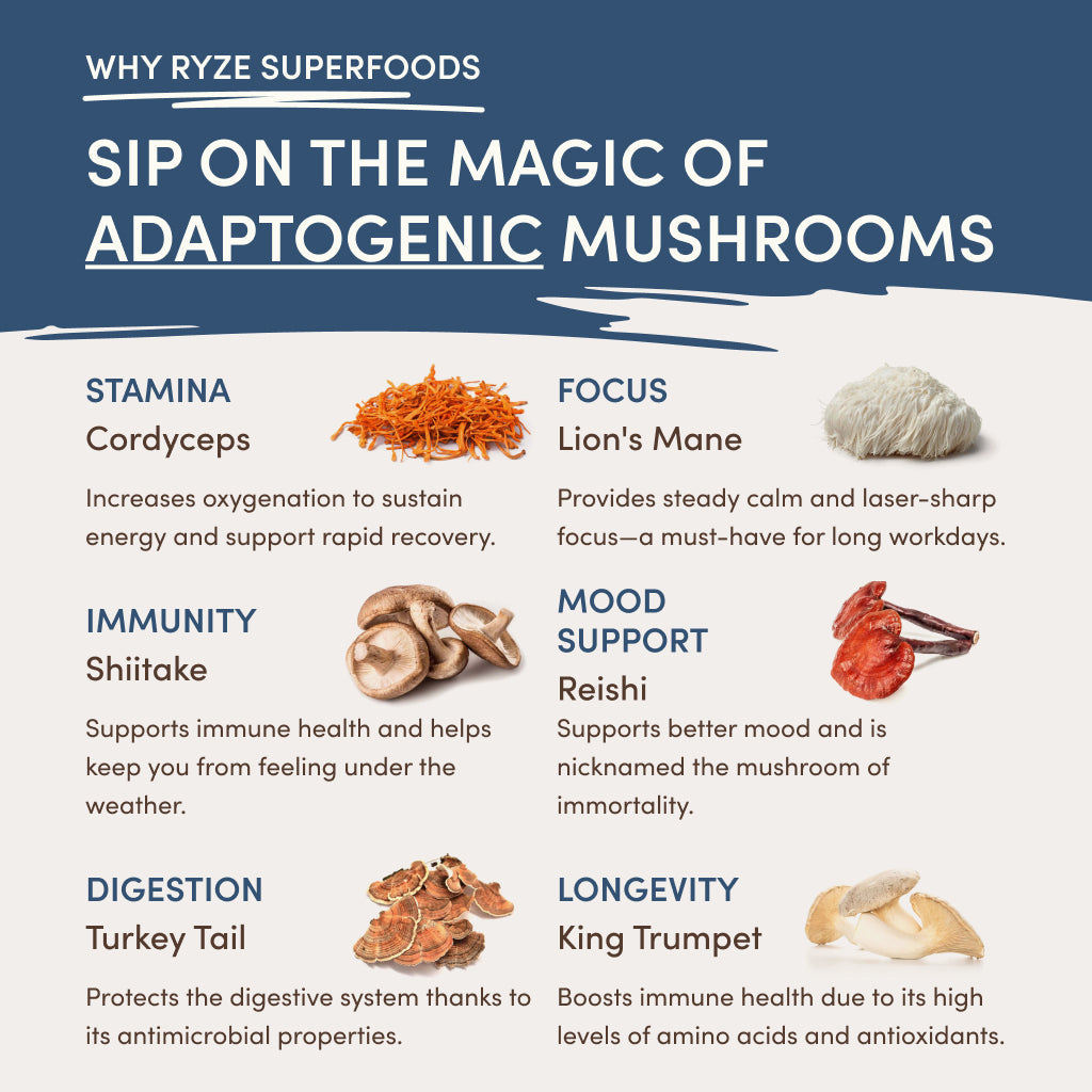 RYZE Nighttime Mushroom Cocoa Starter Bag T6