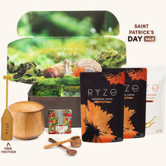 Mushroom Coffee Ritual Set C4