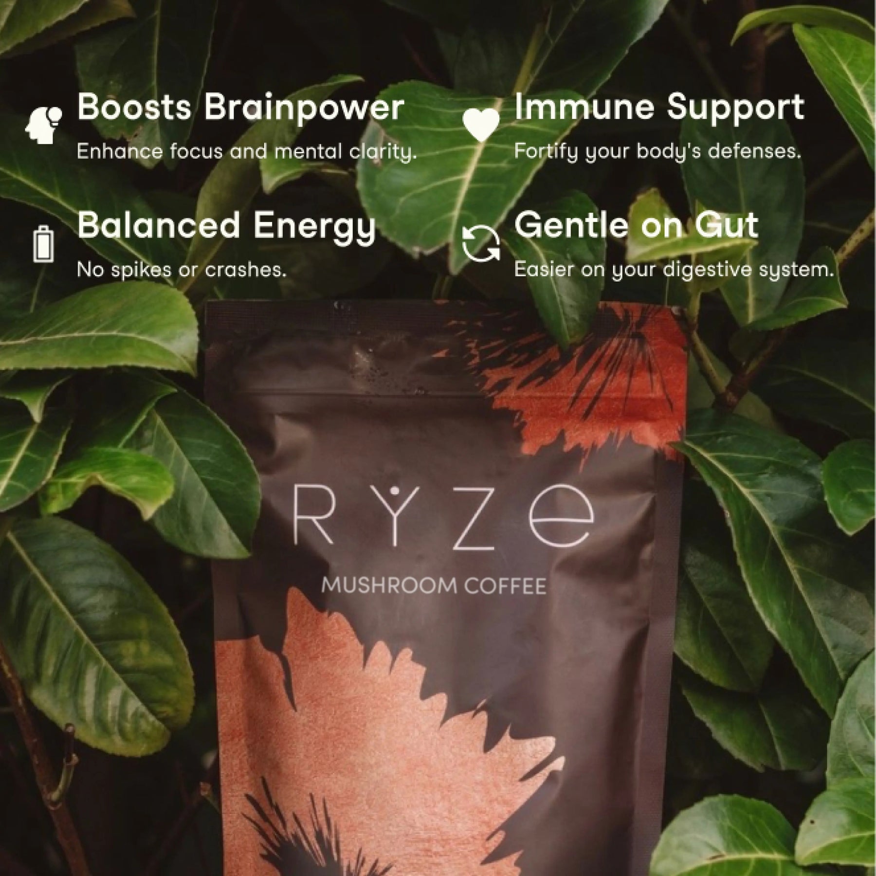 RYZE Mushroom Coffee — Organic Instant Coffee with Cordyceps & Reishi, 30 Servings Z9