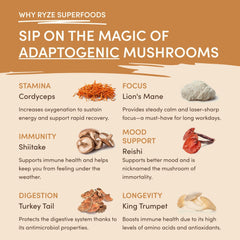 Mushroom Overnight Oats (14 Servings) V5
