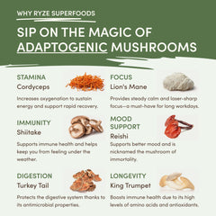 RYZE Mushroom Matcha — Organic Instant Matcha Latte with Lion's Mane & King Trumpet, 30 Servings Q4