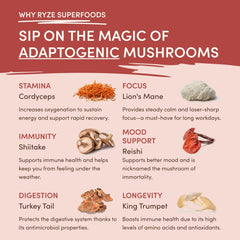 Mushroom Chai (20 Servings) P1