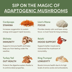 Mushroom Matcha (30 Servings) F7