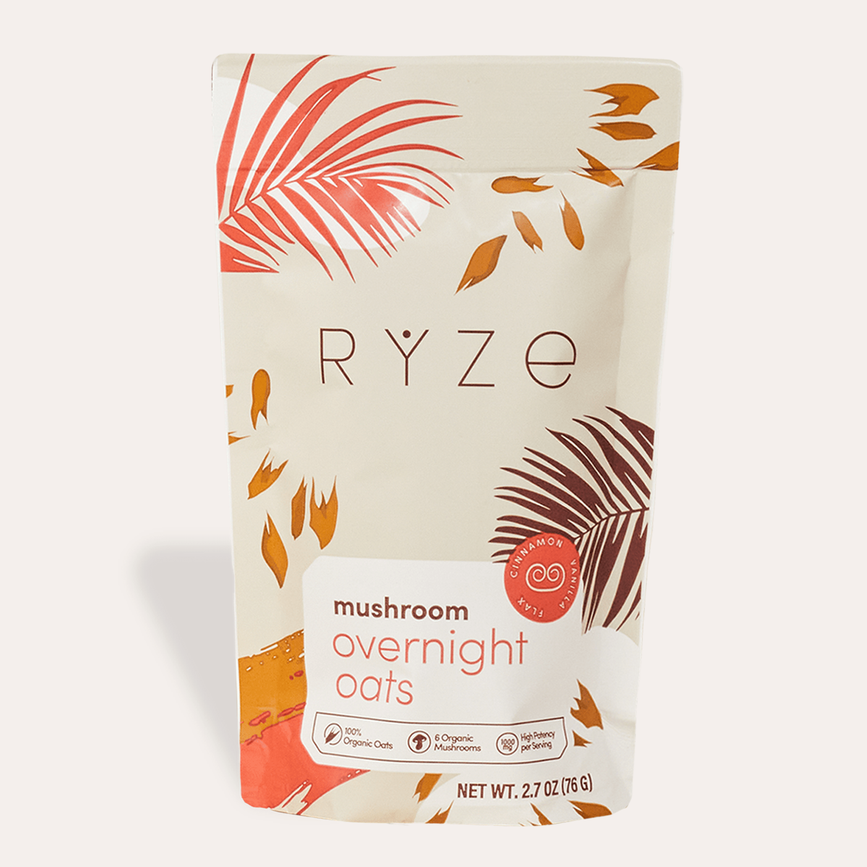 Mushroom Overnight Oats Pack (14 Servings) S3