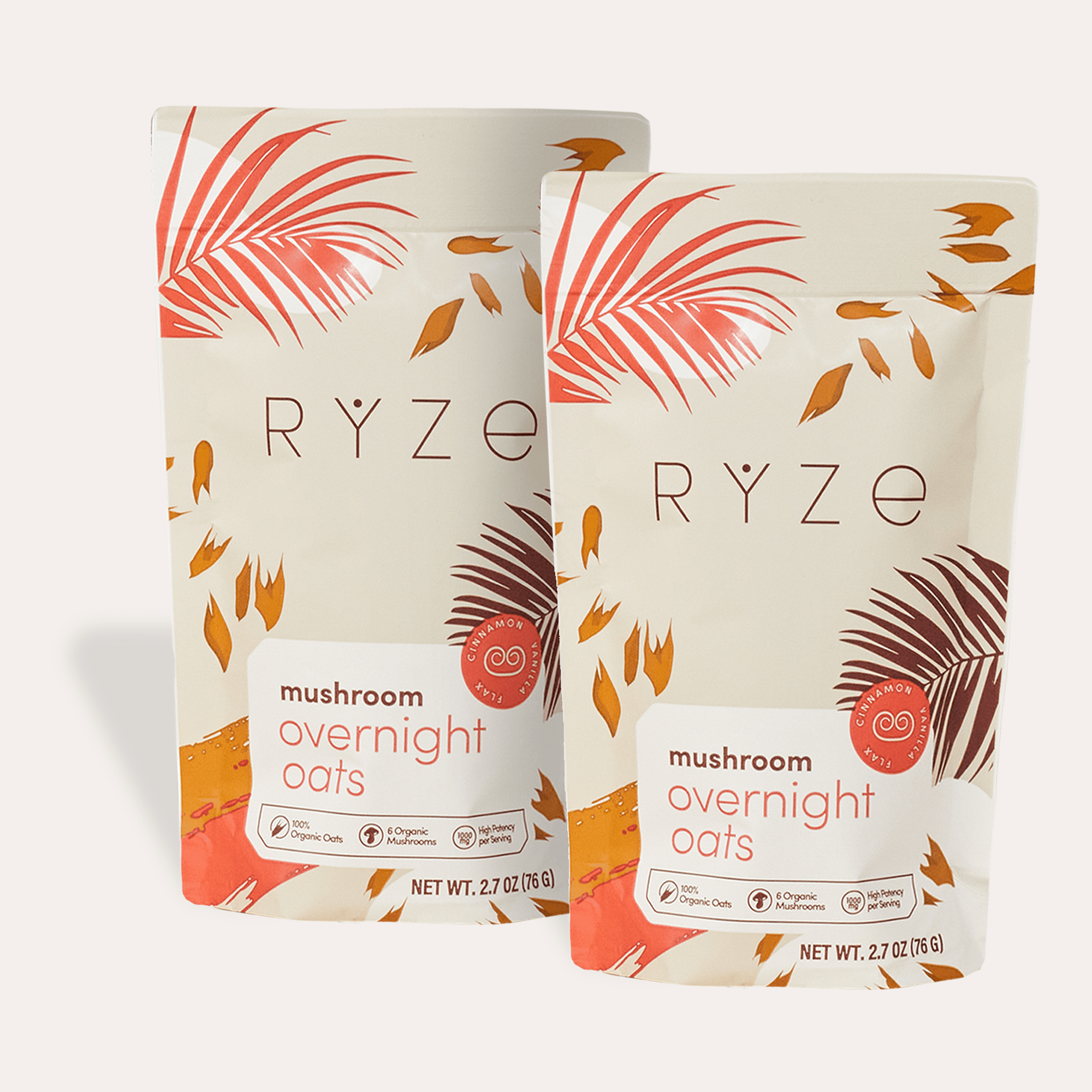 Mushroom Overnight Oats Pack (28 Servings) H7
