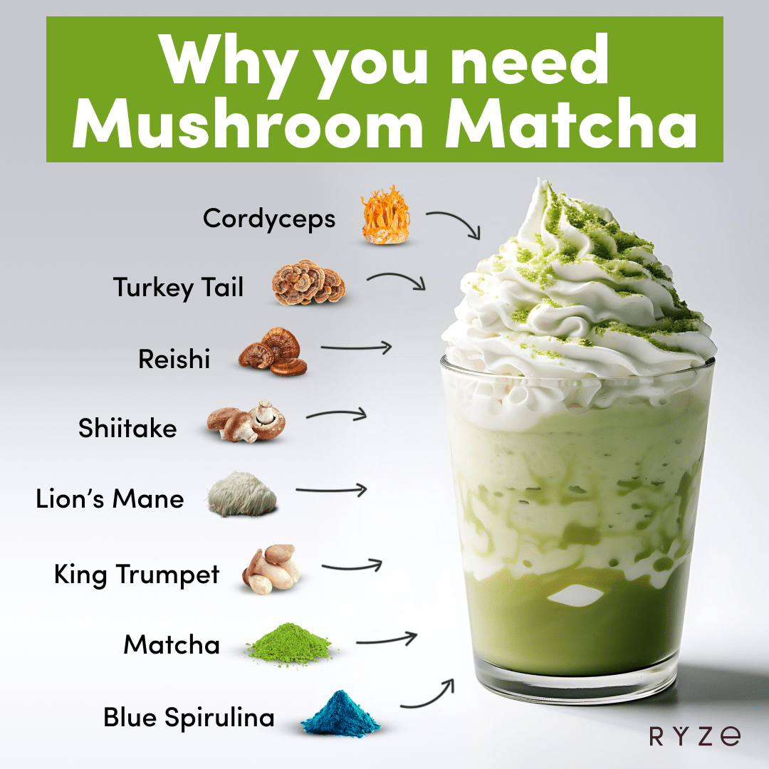 RYZE Organic Mushroom Matcha Starter Kit (60 servings) F6